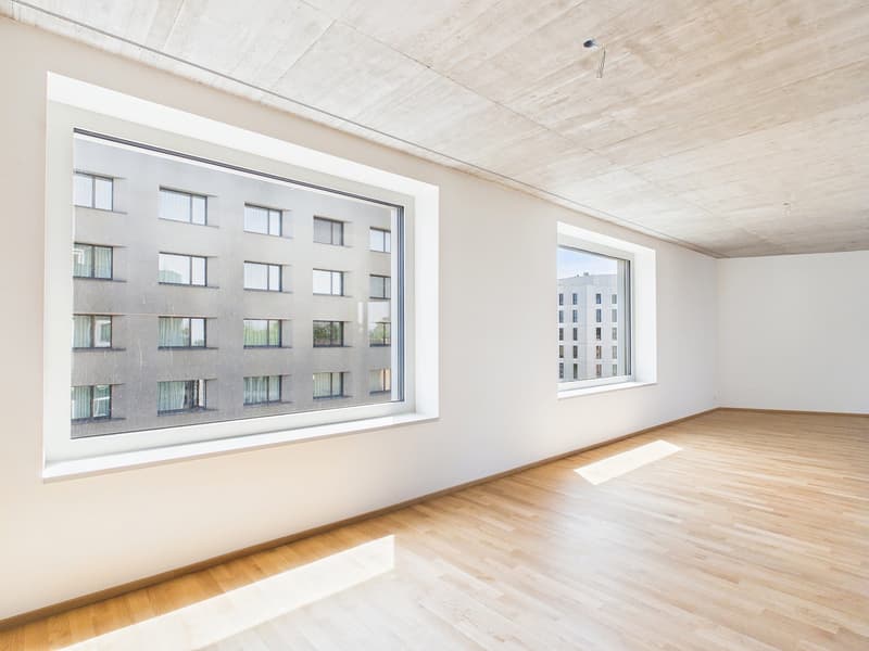 Erstbezug im modernen Neubau - hochwertiges Wohnen mitten in Basel (6)