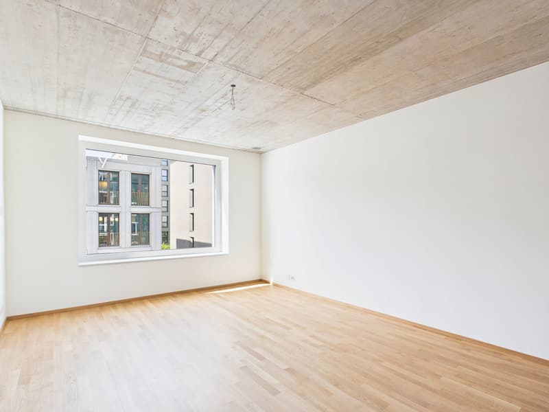 Erstbezug im modernen Neubau - hochwertiges Wohnen mitten in Basel (6)