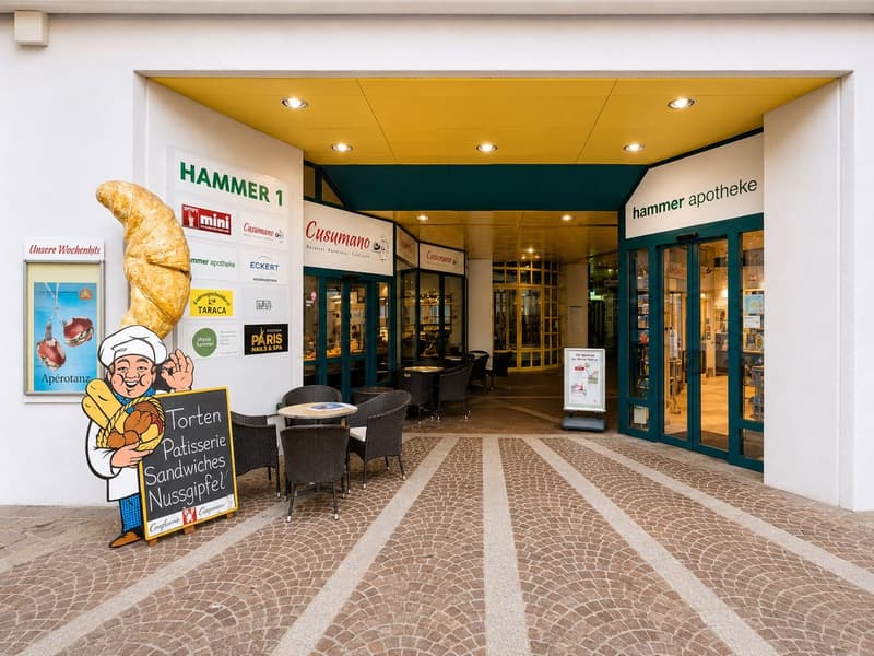8.8% Rendite-Hit! Vollvermietetes Gewerbe im Zentrum von Olten zu verkaufen (7)
