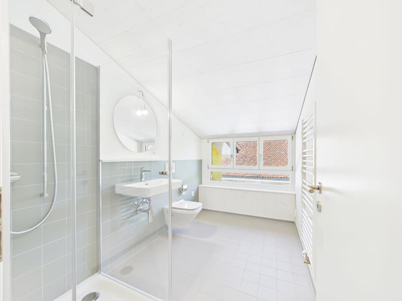 Sehr grosszügige, lichtdurchflutete, frisch renovierte Dachwohnung (9)
