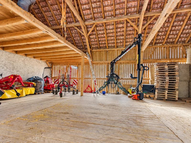 Grosszügiges 7-Zimmer-Bauernhaus mit Einliegerwohnung und vielseitigem Nutzungspotenzial (9)