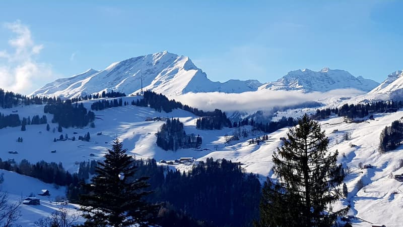 4.5-Zimmer-Chalet mit Panoramabalkon in Grüsch kaufen (7)