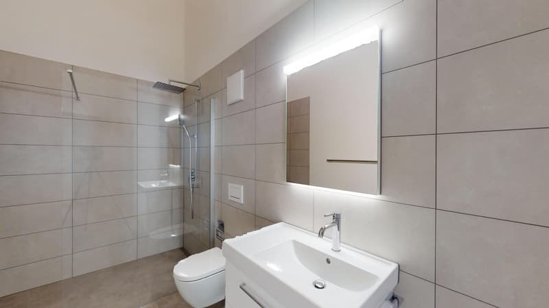 4½ Zi-Dachwohnung im prättigauer Naherholungsgebiet (8)