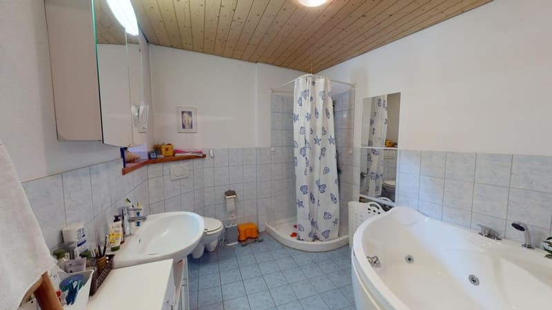 Rustikales Haus: für Ferien oder als Festwohnsitz geeignet (7)