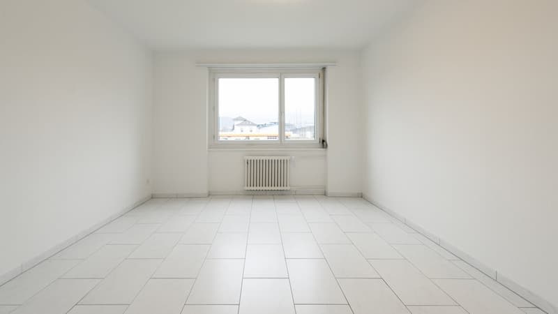 GUT ERSCHLOSSENE WOHNUNG IN OLTEN (8)