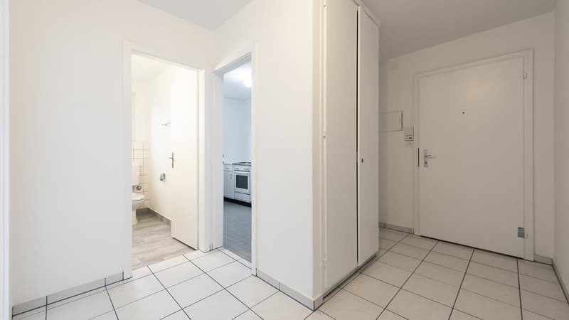 GUT ERSCHLOSSENE WOHNUNG IN OLTEN (10)