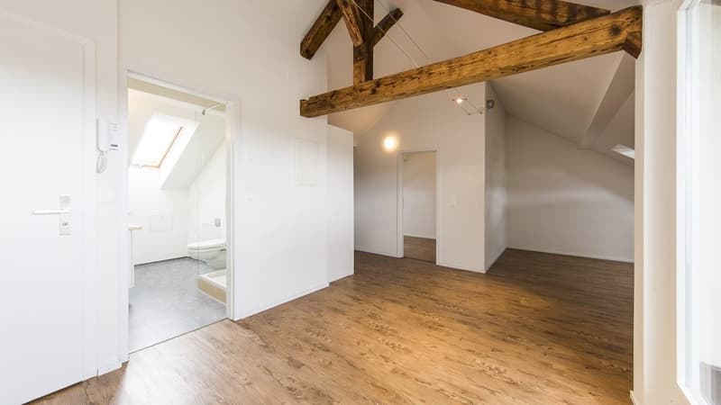 GEMÜTLICHE WOHNUNG AN GUTER LAGE - 1x NETTOMIETZINS GESCHENKT (3)