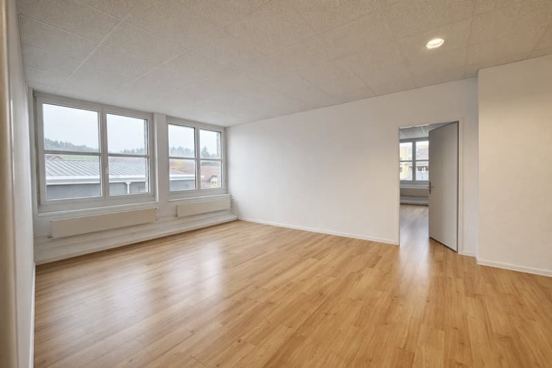 EXKLUSIVE BÜRO - ODER PRAXISFLÄCHEN AN TOP LAGE (2)