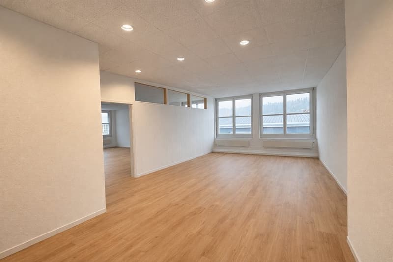 EXKLUSIVE BÜRO - ODER PRAXISFLÄCHEN AN TOP LAGE (4)