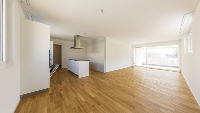 Wohnzimmer/Küche