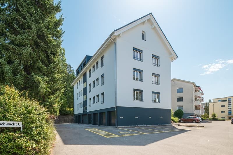 SANIERTE CHARMANTE KLEINWOHNUNG ZU VERMIETEN (1)