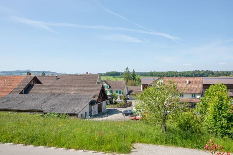 GEWERBERAUM MIT KÜCHE UND NASSZELLE (9)