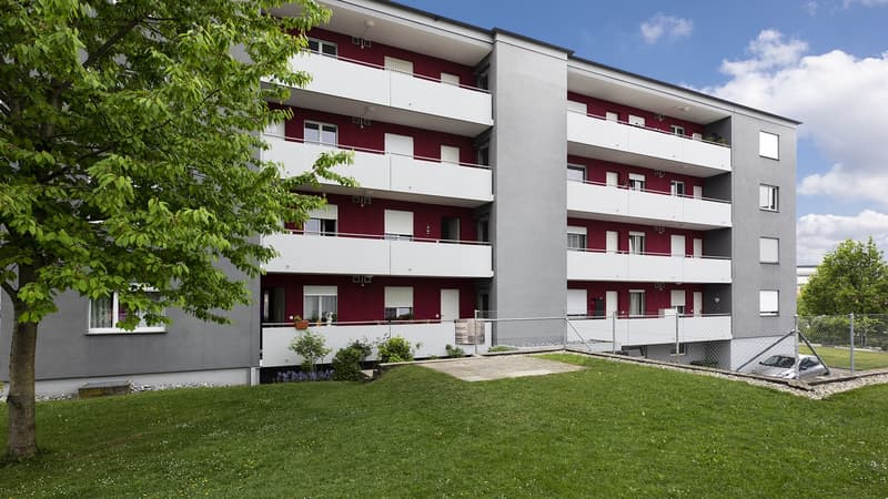3 ZIMMER WOHNUNG IM RUHIGEN UND IDYLLISCHEN RORSCHACHERBERG (1)