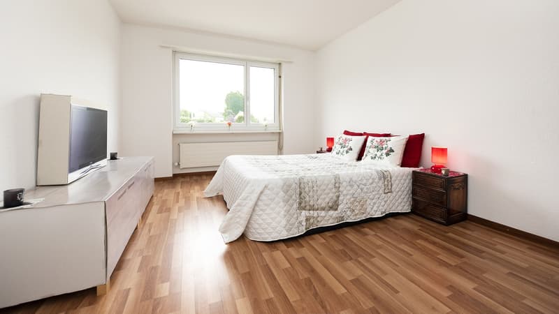 3 ZIMMER WOHNUNG IM RUHIGEN UND IDYLLISCHEN RORSCHACHERBERG (5)