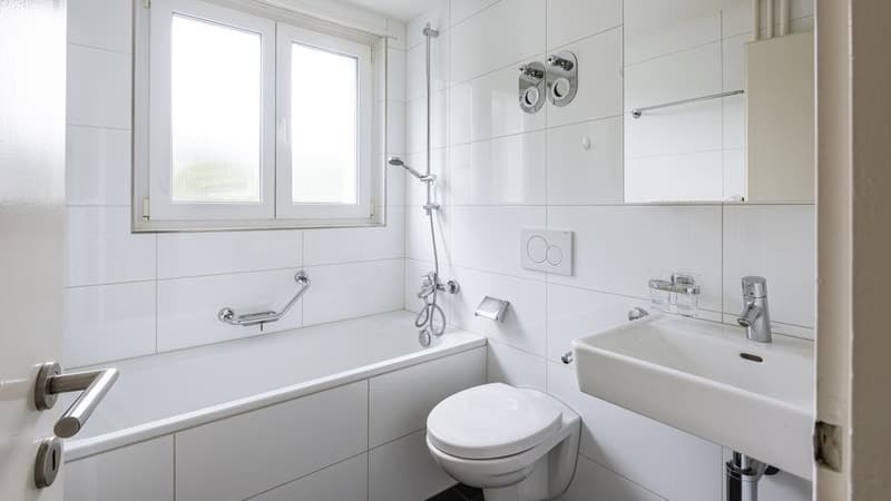 GEMÜTLICHE WOHNUNG AUF DER OBERSTEN ETAGE ZU VERMIETEN (4)