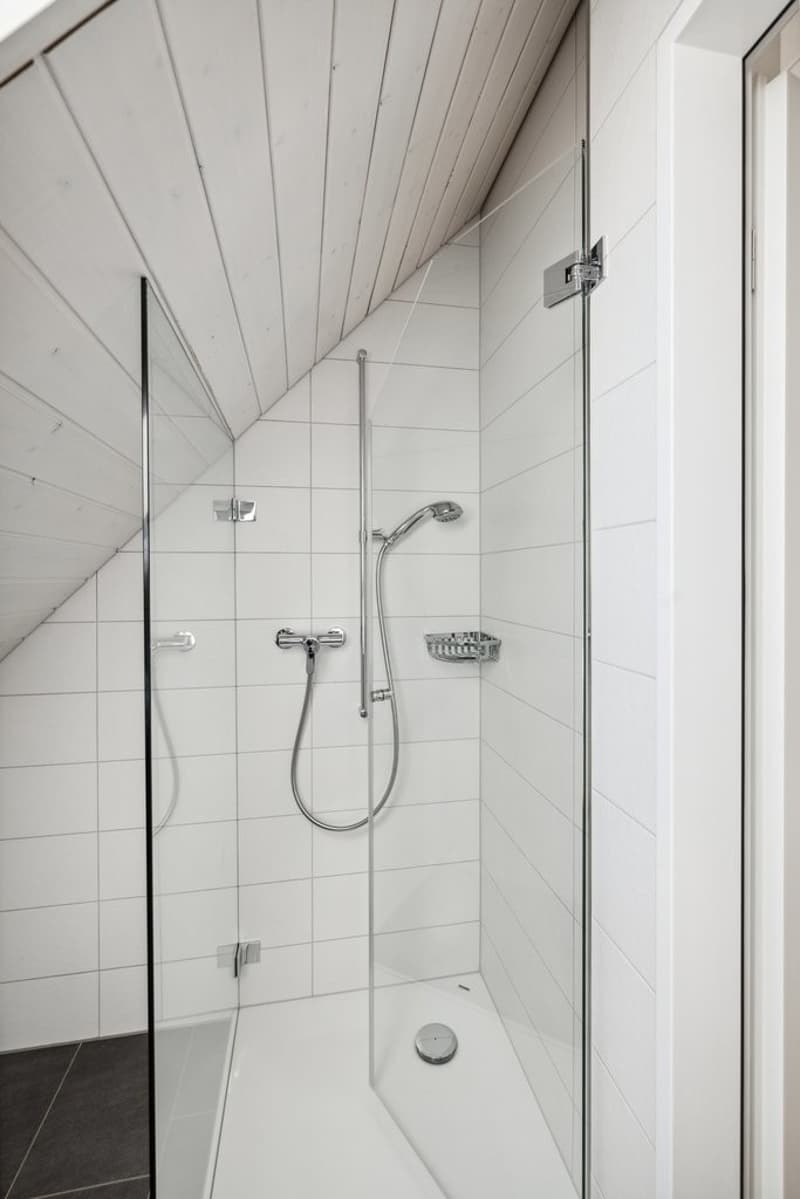 Einzigartige Maisonette Wohnung mit toller Aussicht (9)