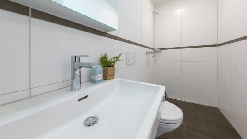 MODERN WOHNEN MIT GROSSEM BALKON UND BESTER AUSSTATTUNG (7)