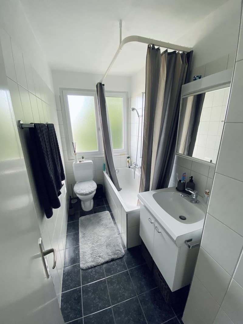 IHR NEUES ZUHAUSE AN PERFEKTER LAGE IN HINWIL (8)