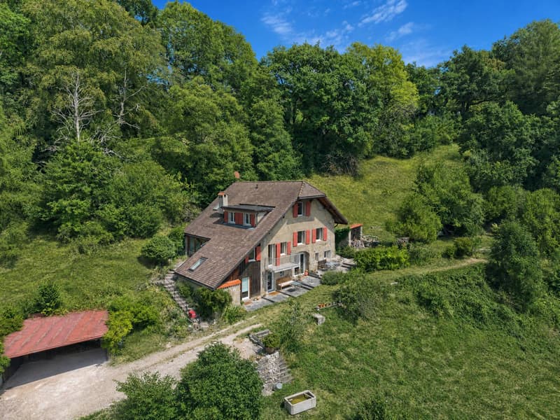 Ferme de caractère rénovée entre nature et lac (2)