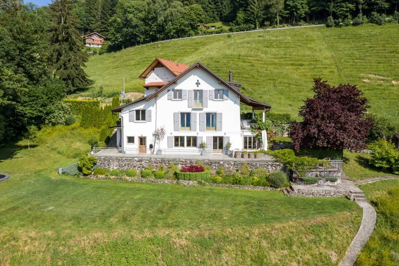 Splendide propriété individuelle à Chamby, Montreux (6)