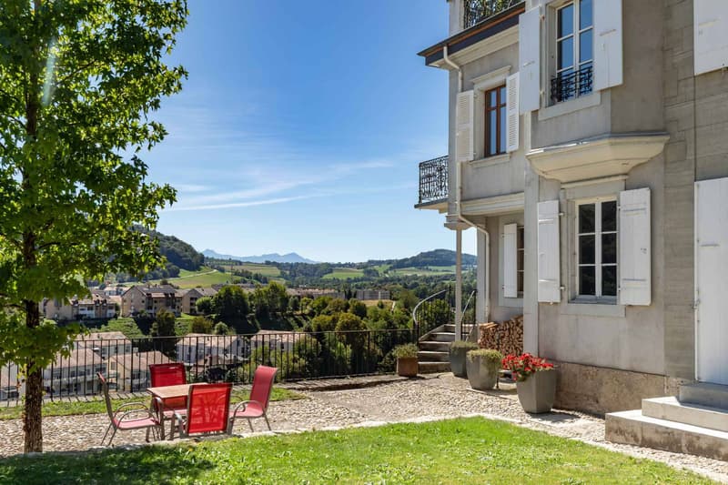En exclusivité - Maison de maître d'exception entièrement rénovée (1)