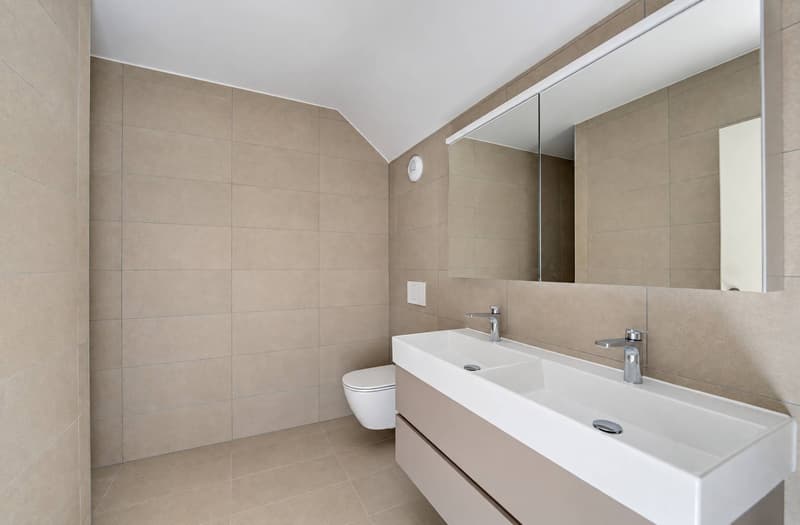 Salle de douche en suite avec WC