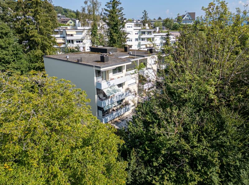 Stilvolles Wohnen an attraktiver Lage nahe dem Zürichsee (8)