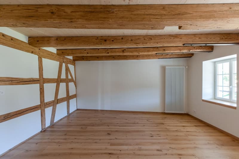 Modernes Wohnen mit historischem Charme an traumhafter Lage (3)