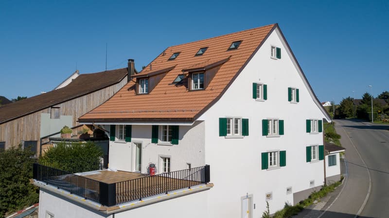 Einzigartiges Wohnen mit Terrasse in historischem Ambiente (8)
