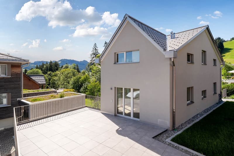 Modernes Neubau-Einfamilienhaus mit hochwertigem Innenausbau (4)