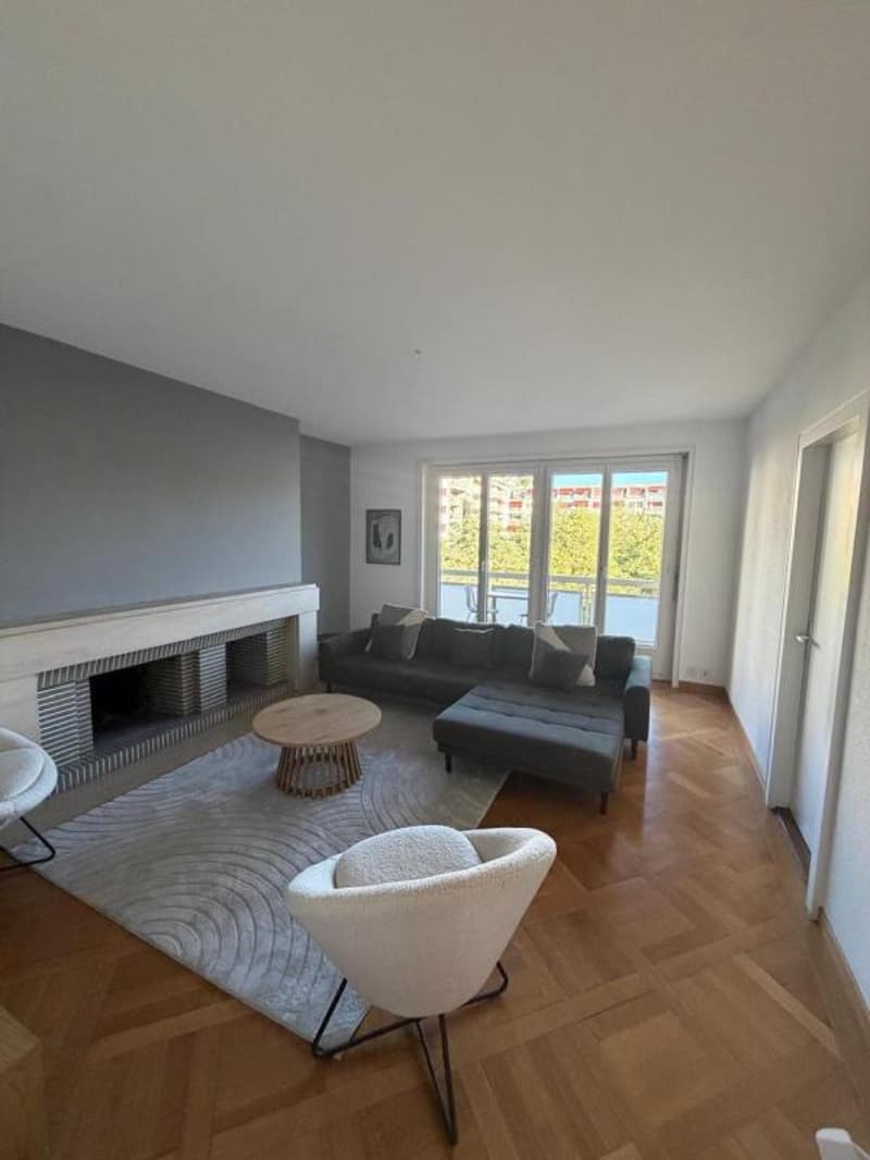 Co-location à Lausanne (1005) (5)