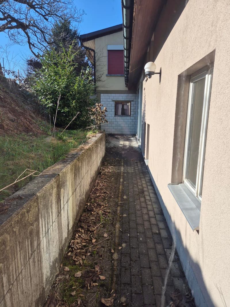 Mehrfamilienhaus mit 5 Einheiten in Kestenholz und Baulandreserve (10)