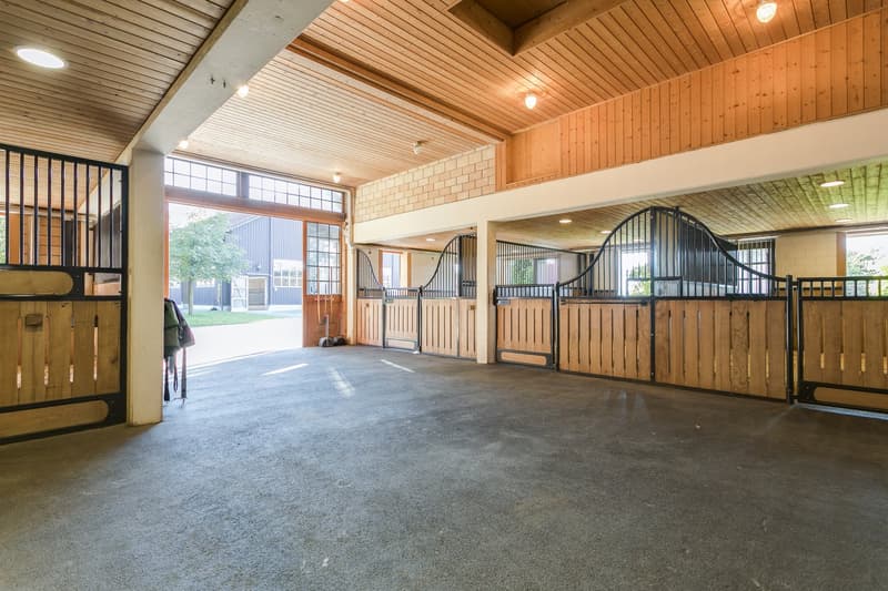 Exklusives Equestrian Estate in der Schweiz – Gestüt & Residenz auf über 10 ha arrondiertem Land (17)