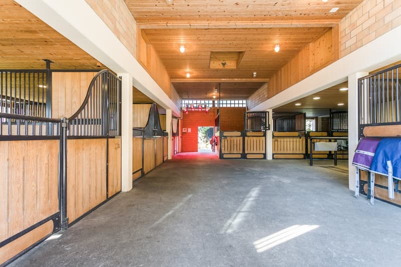 Exklusives Equestrian Estate in der Schweiz – Gestüt & Residenz auf über 10 ha arrondiertem Land (16)