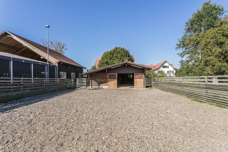 Exklusives Equestrian Estate in der Schweiz – Gestüt & Residenz auf über 10 ha arrondiertem Land (19)