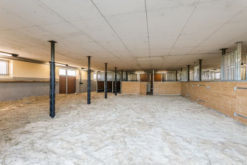 Exklusives Equestrian Estate in der Schweiz – Gestüt & Residenz auf über 10 ha arrondiertem Land (26)