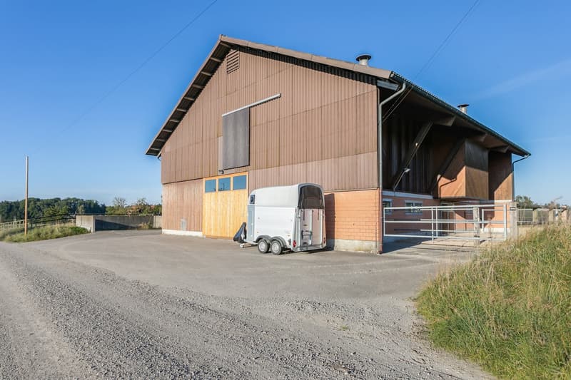 Exklusives Equestrian Estate in der Schweiz – Gestüt & Residenz auf über 10 ha arrondiertem Land (25)