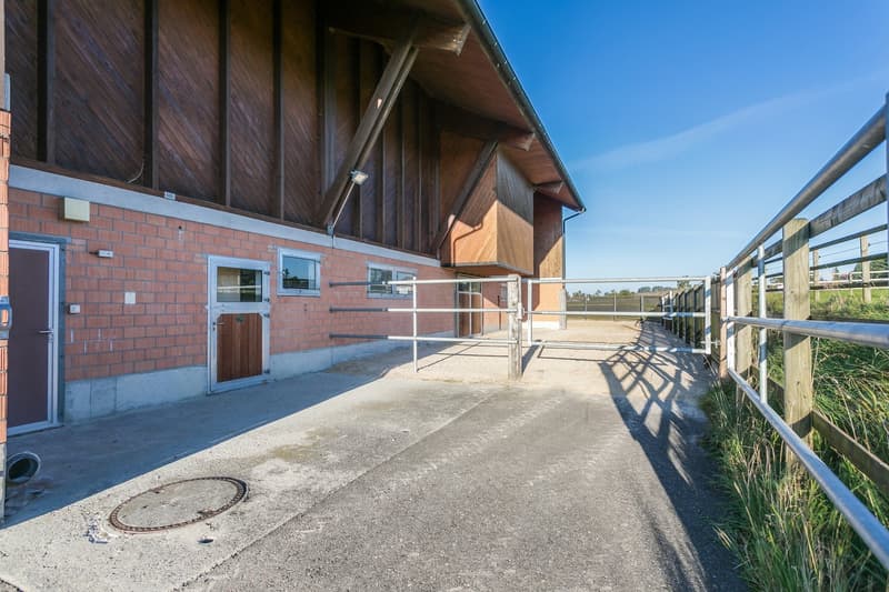 Exklusives Equestrian Estate in der Schweiz – Gestüt & Residenz auf über 10 ha arrondiertem Land (21)