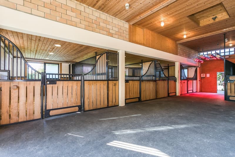 Exklusives Equestrian Estate in der Schweiz – Gestüt & Residenz auf über 10 ha arrondiertem Land (15)