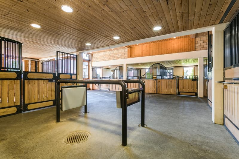 Exklusives Equestrian Estate in der Schweiz – Gestüt & Residenz auf über 10 ha arrondiertem Land (27)