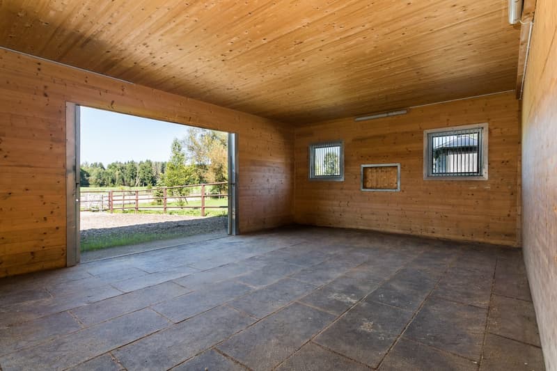 Exklusives Equestrian Estate in der Schweiz – Gestüt & Residenz auf über 10 ha arrondiertem Land (20)