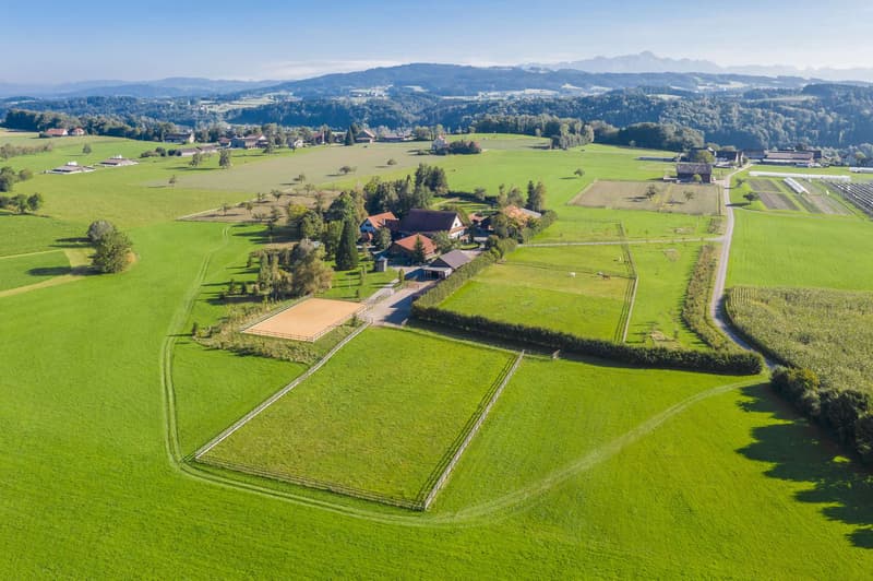 Gestüt Bommerten mit Weiden