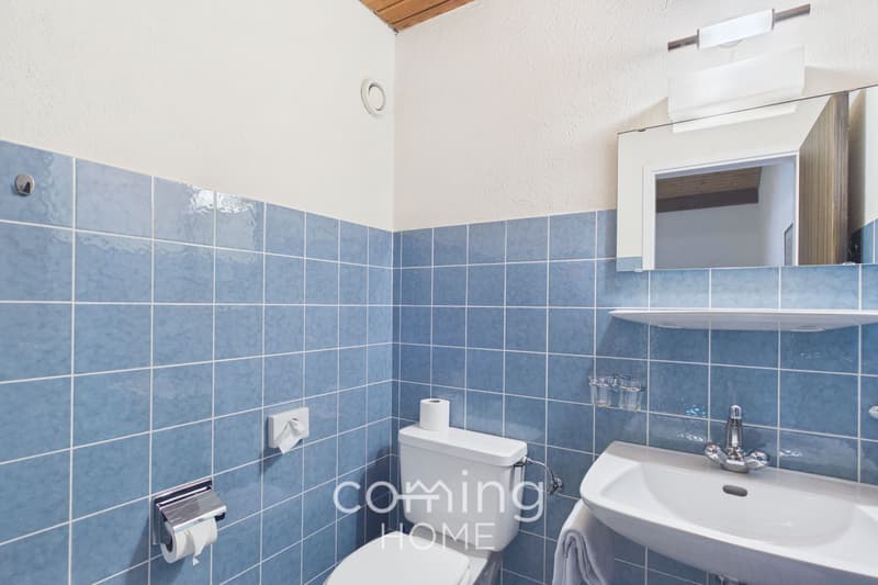 2.5-Zimmer-Duplexwohnung mit Balkon und Bergblick in Mörel kaufen (9)