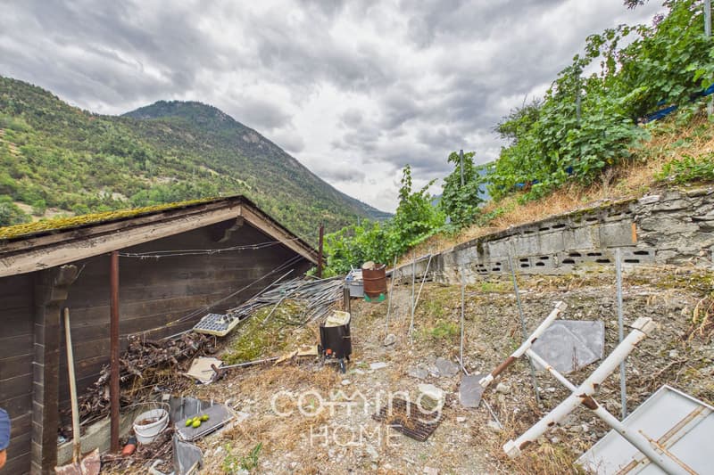 Rebparzelle mit Rebhaus in Stalden - Weinbau im Vispertal (11)