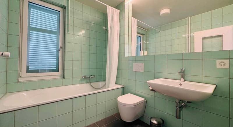 Frisch renovierte 2.5-Zimmer-Wohnung in Allschwil – sofort verfügbar! (2)