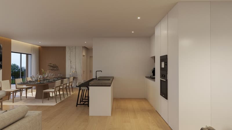 Erstbezug im November 2026: 4.5-Zi-Penthouse mit 79 m² Sonnenterrasse (12)