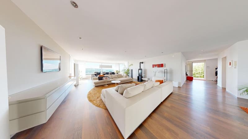 On Top of Wettswil – 252 m² Panorama-Residenz (10)