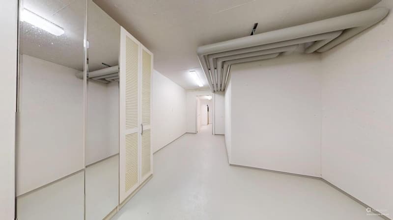 On Top of Wettswil – 252 m² Panorama-Residenz (31)