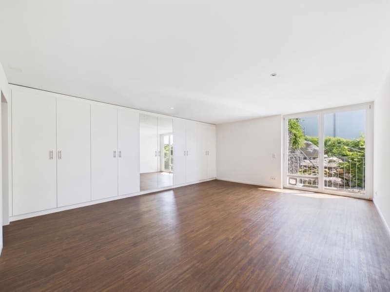 On Top of Wettswil – 252 m² Panorama-Residenz (21)