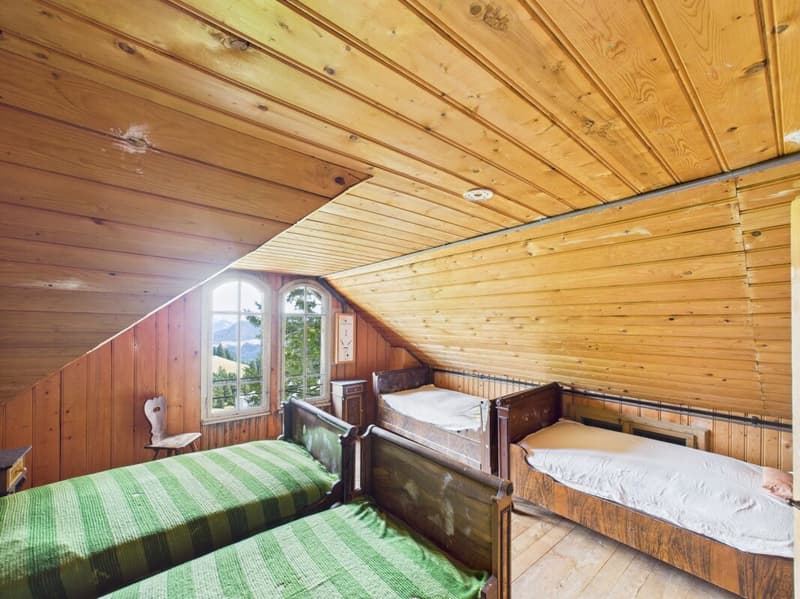 A Swiss Trophy Asset – the Last Free Piece of Mount Rigi (29)